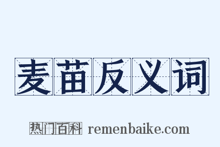 麦苗反义词是什么意思的图片